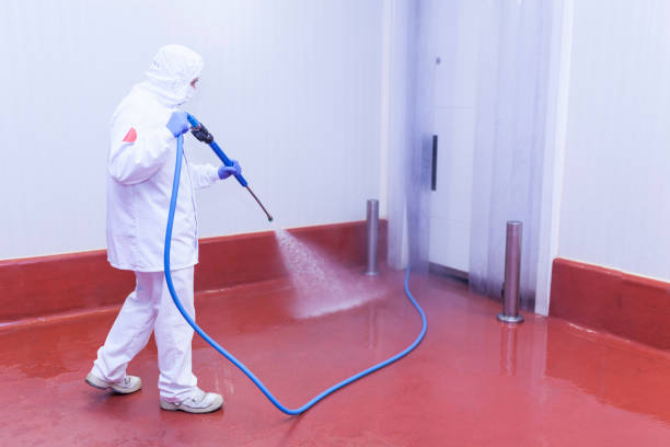 Best Spring Cleaning  in Naples, FL